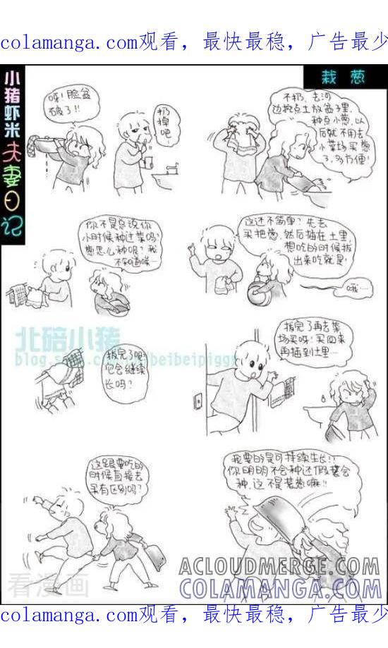 《七年不痒——小猪虾米夫妻日记（第三季）》第89话 栽葱 第1页
