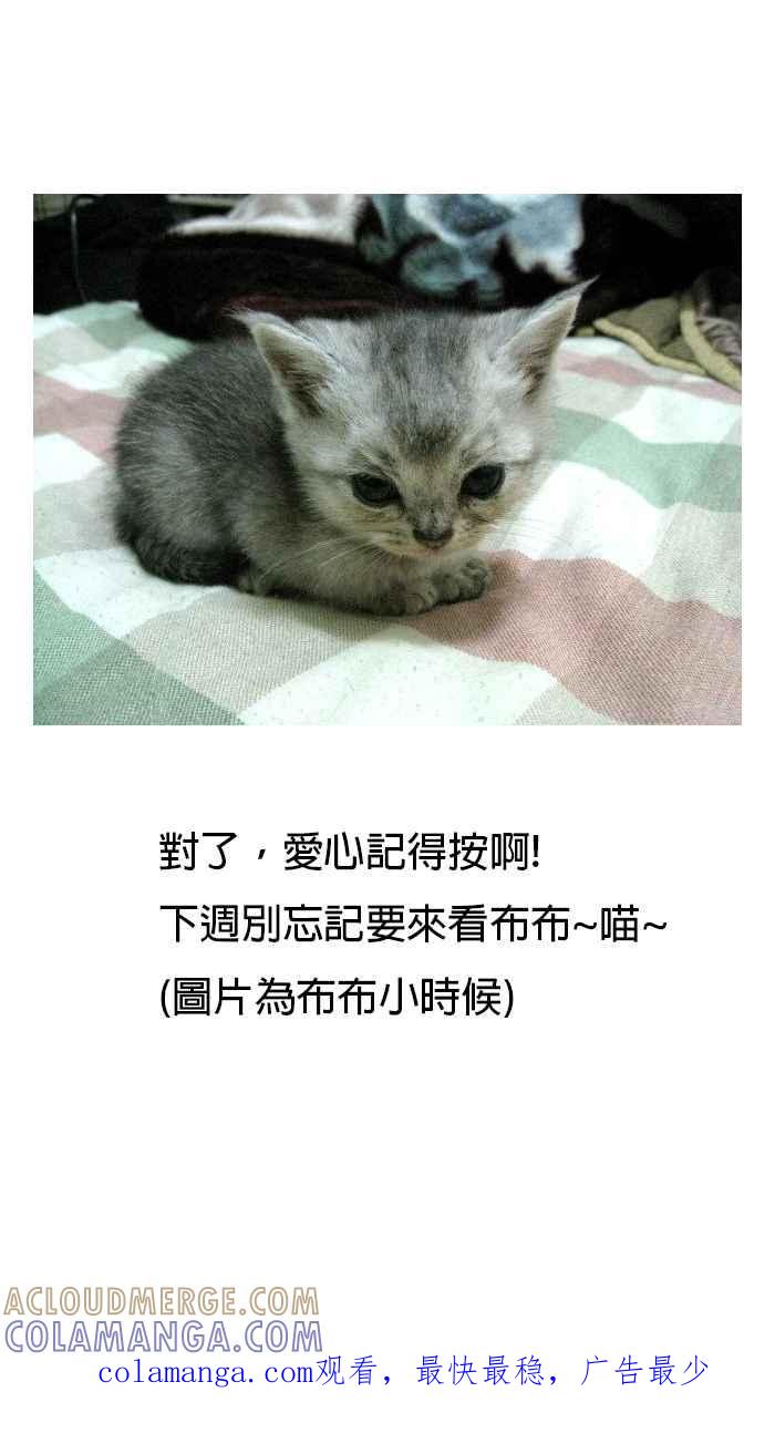 猫剑客 休刊 3 第4页