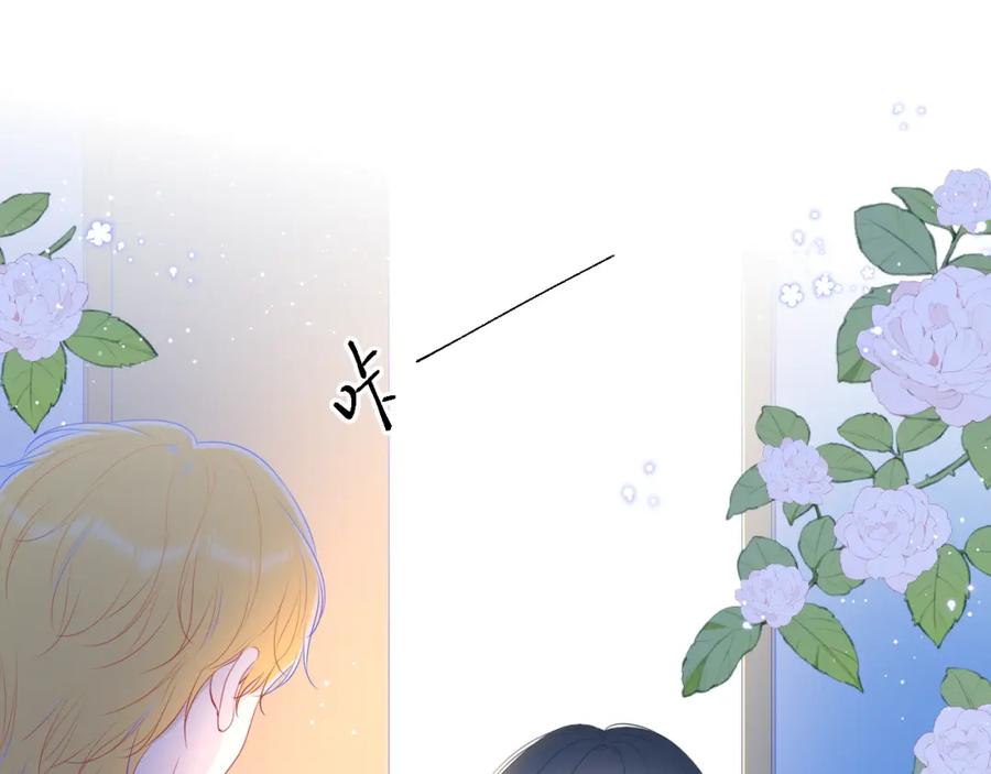 星辰于我 加更 星南性转篇 第41页