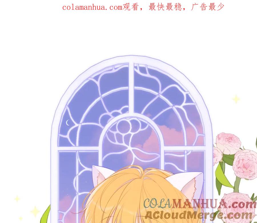 星辰于我 第123话 笨蛋色狼大坏蛋！ 第1页