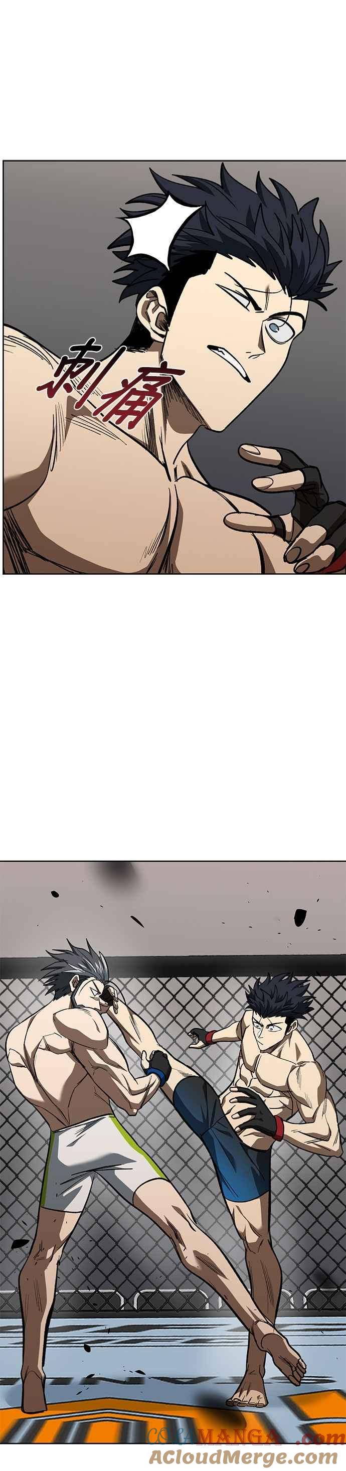 《八角笼的帝王》第145话 第29页
