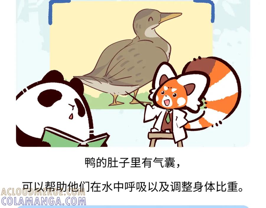 《胖达x胖达》第269话 第27页
