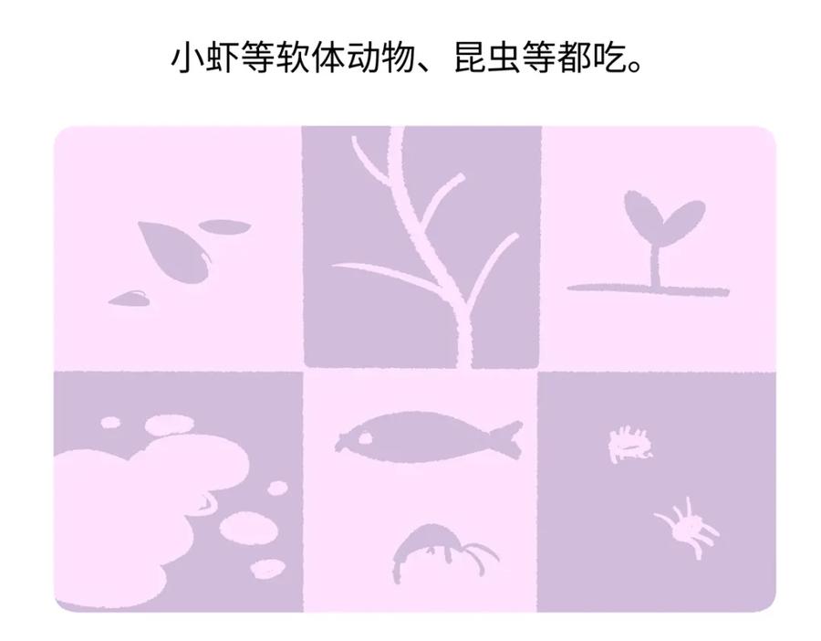 《胖达x胖达》第269话 第24页