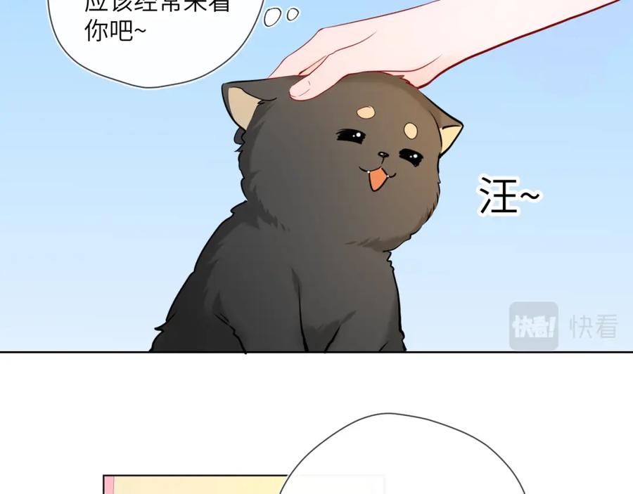 星辰于我 第78话 新家，美少女与狗 第56页