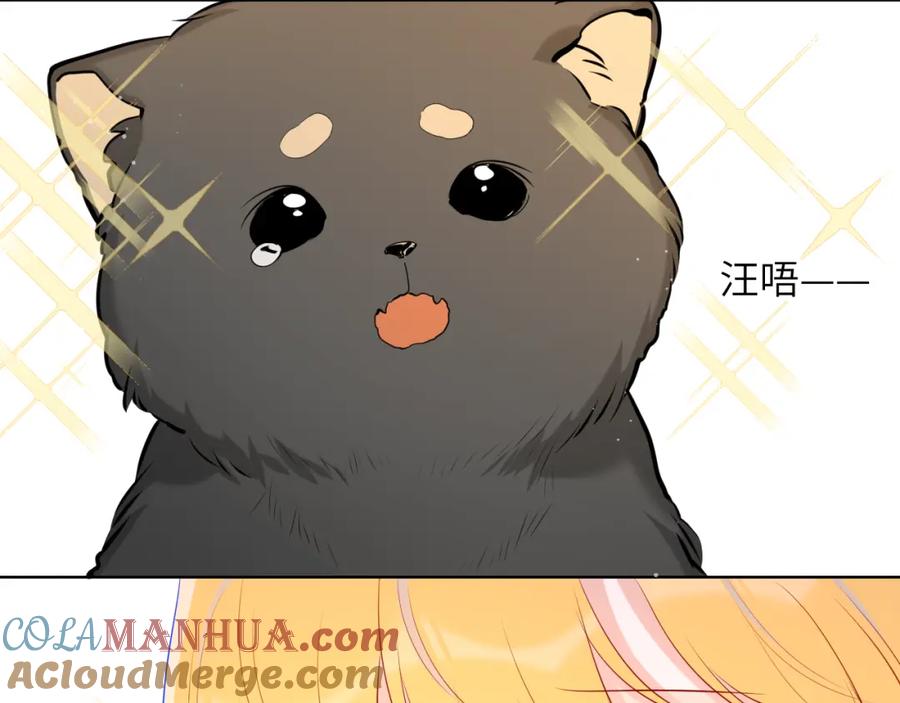 星辰于我 第78话 新家，美少女与狗 第31页