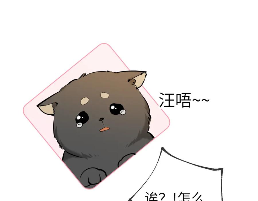 星辰于我 第78话 新家，美少女与狗 第59页