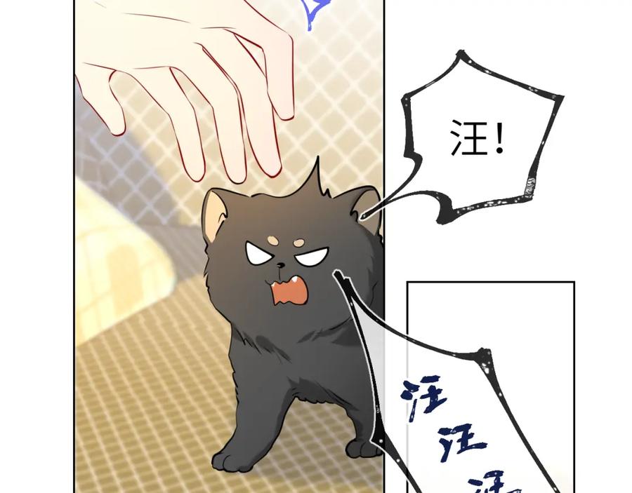 星辰于我 第79话 住在隔壁的男人？ 第42页