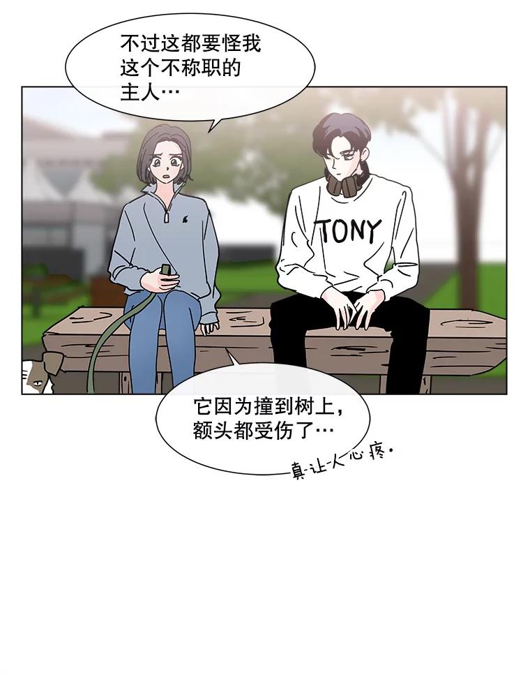 《青春之家》番外1.胖胖的青春期（完） 第66页