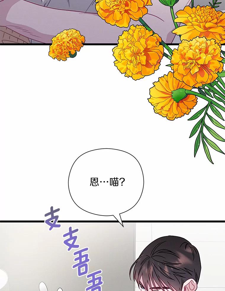 《蒂凡尼的早安吻》55.美好的夜晚 第27页