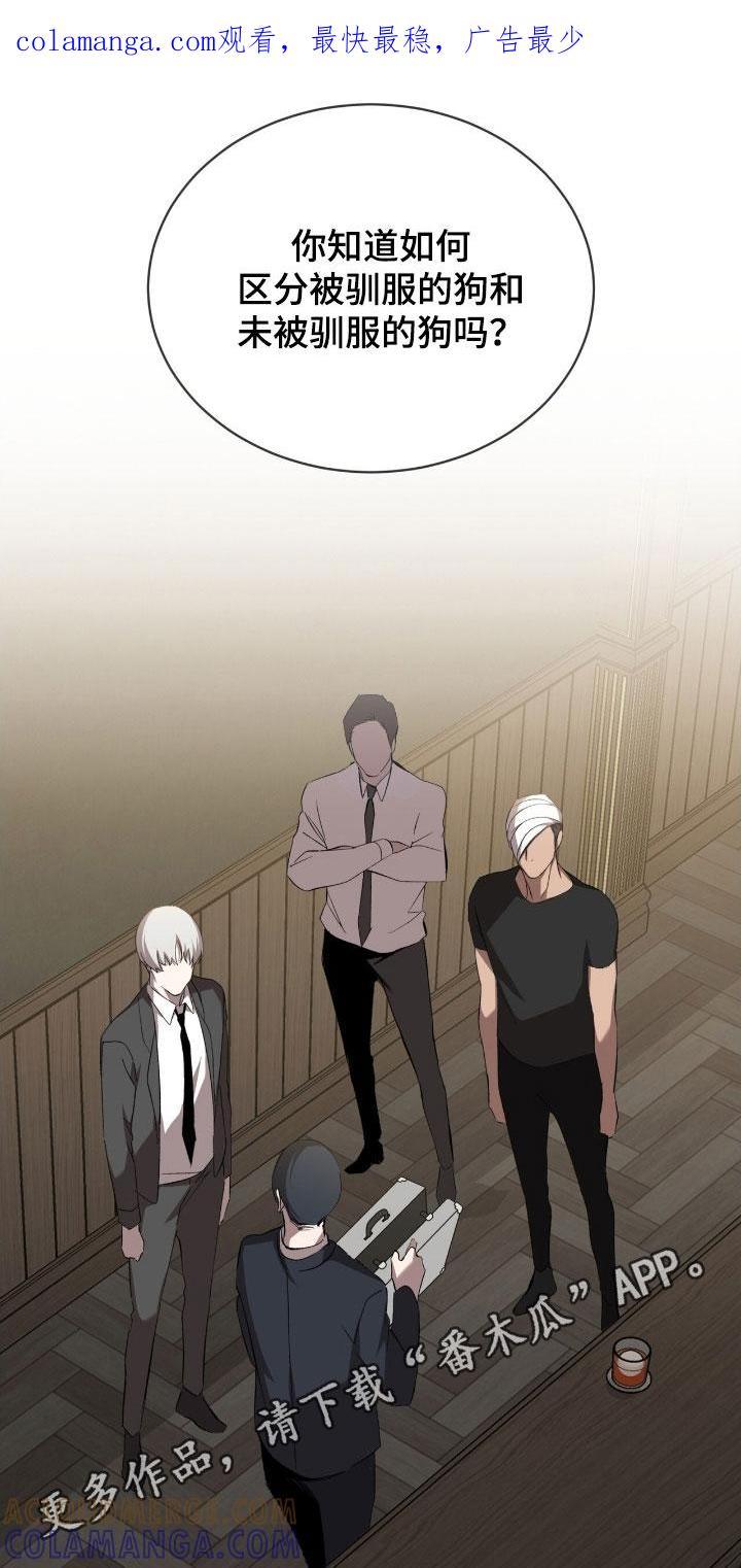 《法外狂徒》第65章：【第二季】更感兴趣了 第1页