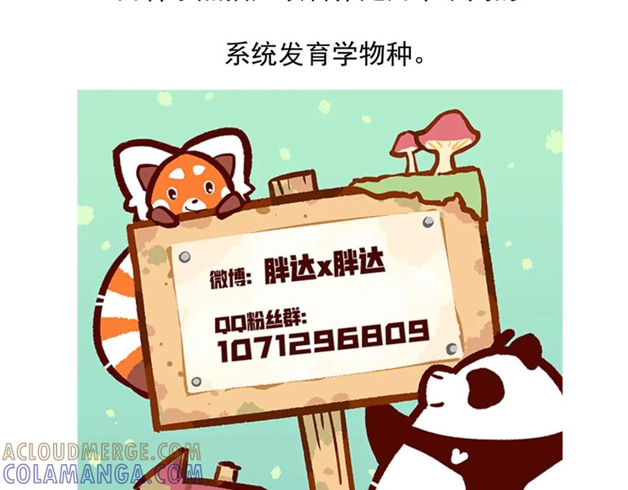 《胖达x胖达》第45话 第31页