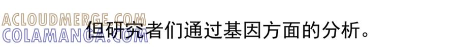 《胖达x胖达》第45话 第29页