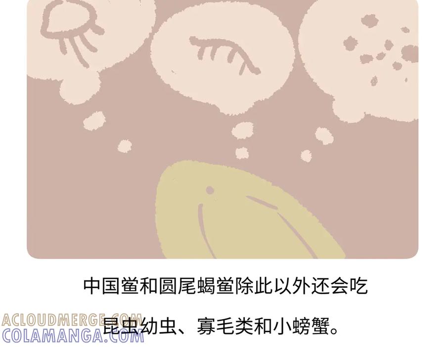 《胖达x胖达》第279话 第27页