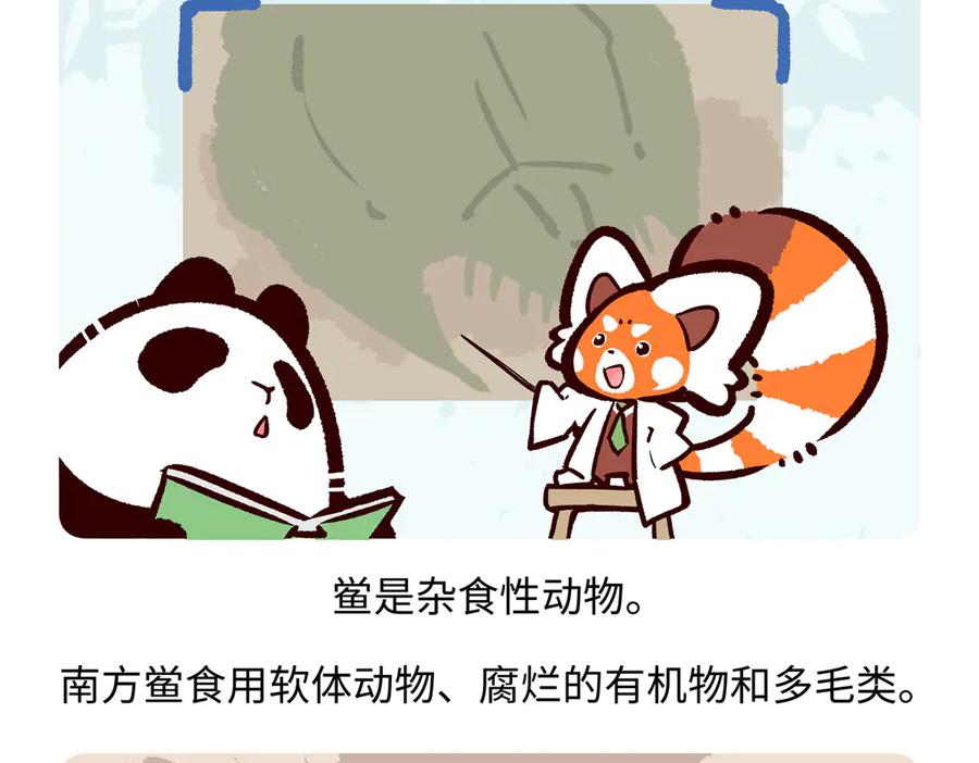 《胖达x胖达》第279话 第26页