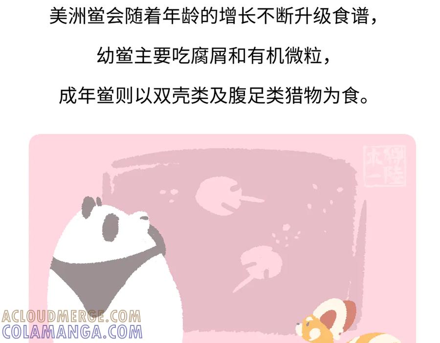 《胖达x胖达》第279话 第29页