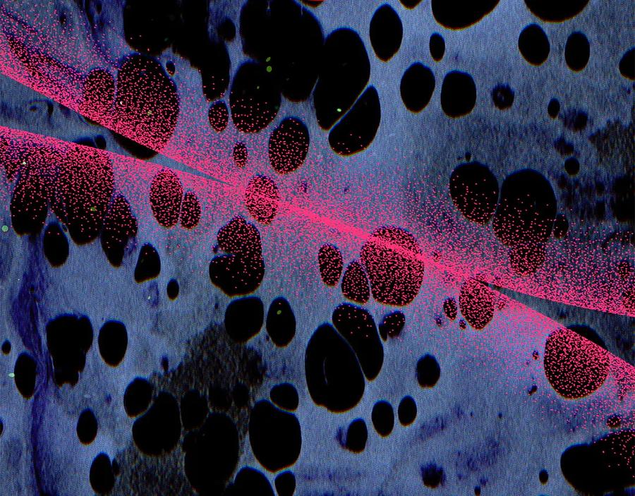 不幸的骑士，请和姐姐恋爱吧 - 第67话 抹除自己的记忆 - 第150张图