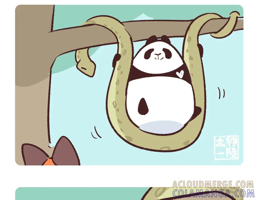《胖达x胖达》第254话 第15页