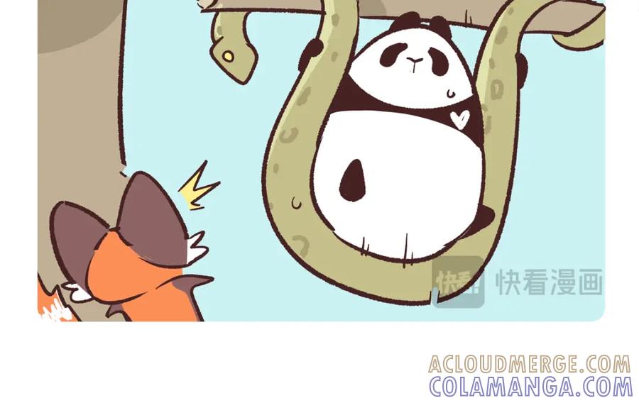 《胖达x胖达》第254话 第17页