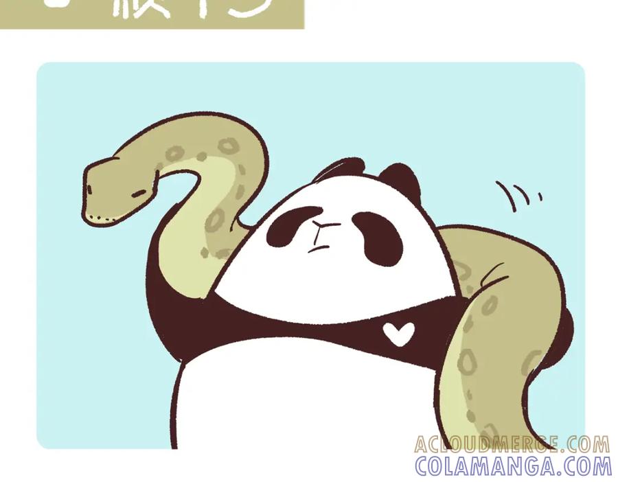 《胖达x胖达》第254话 第13页