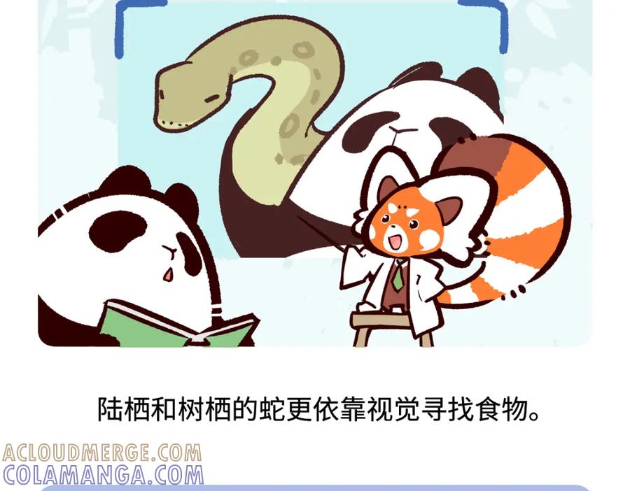 《胖达x胖达》第254话 第19页