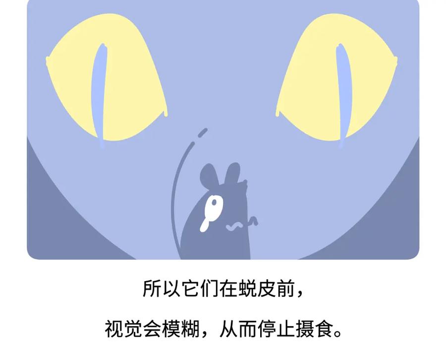 《胖达x胖达》第254话 第20页