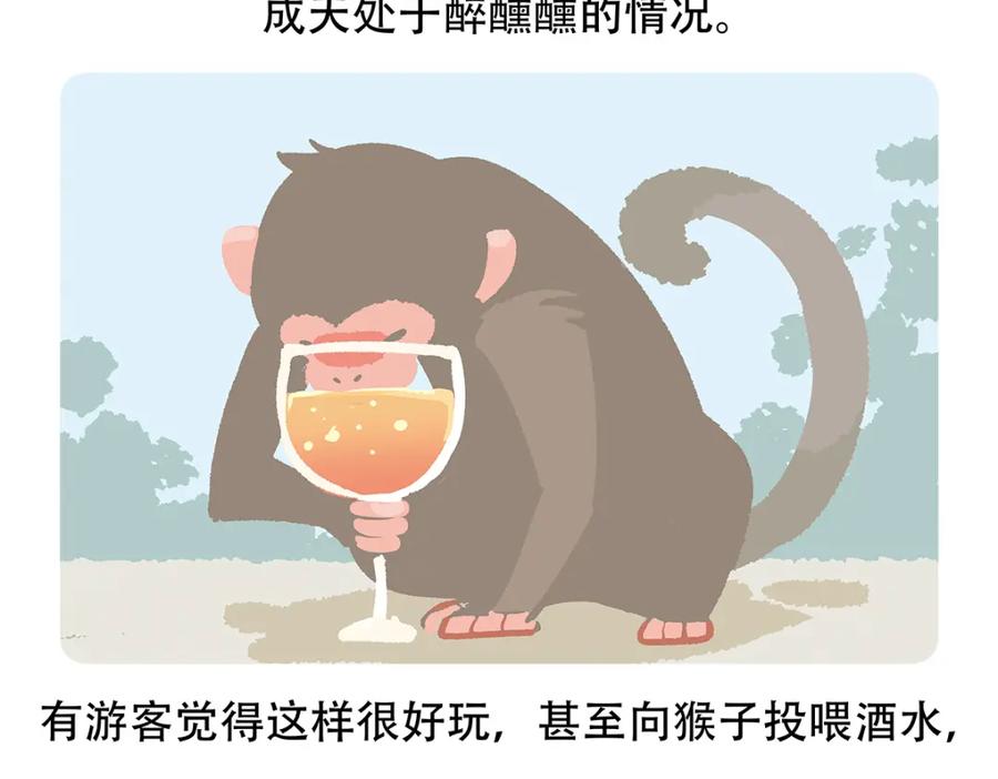 《胖达x胖达》第66话 第28页