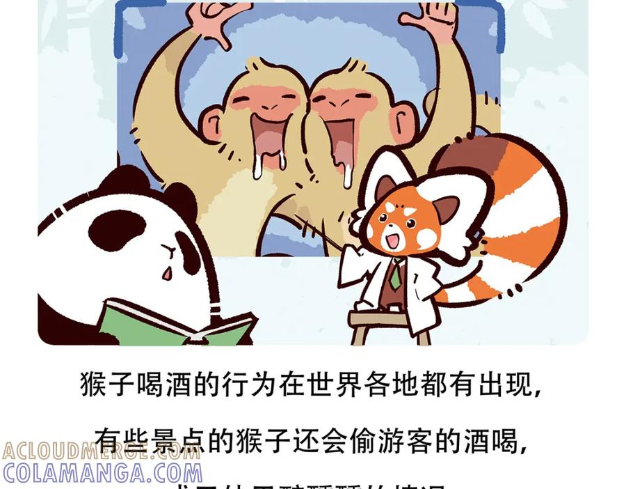 《胖达x胖达》第66话 第27页