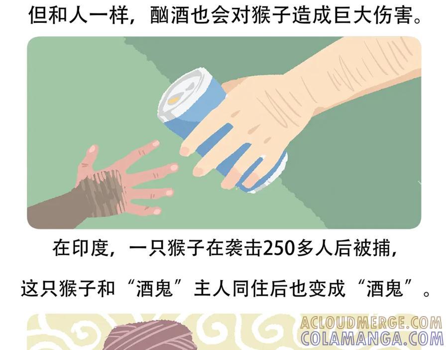 《胖达x胖达》第66话 第29页