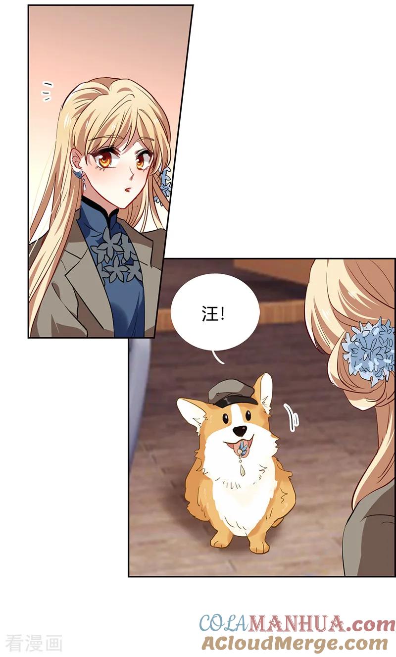 《星梦偶像计划》第251话 第19页