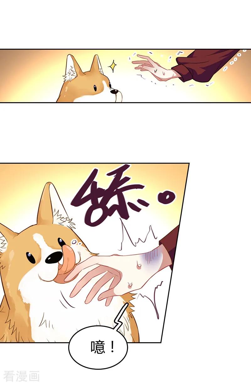 《星梦偶像计划》第251话 第6页
