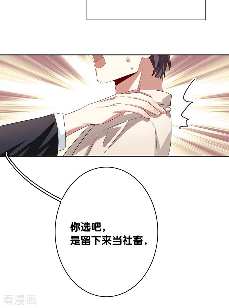 《星梦偶像计划》第326话 第12页