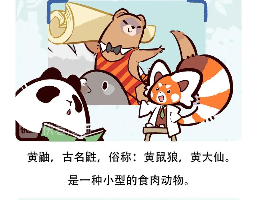 《胖达x胖达》第63话 第28页
