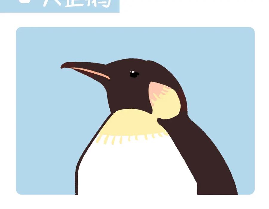 《胖达x胖达》第271话 第14页