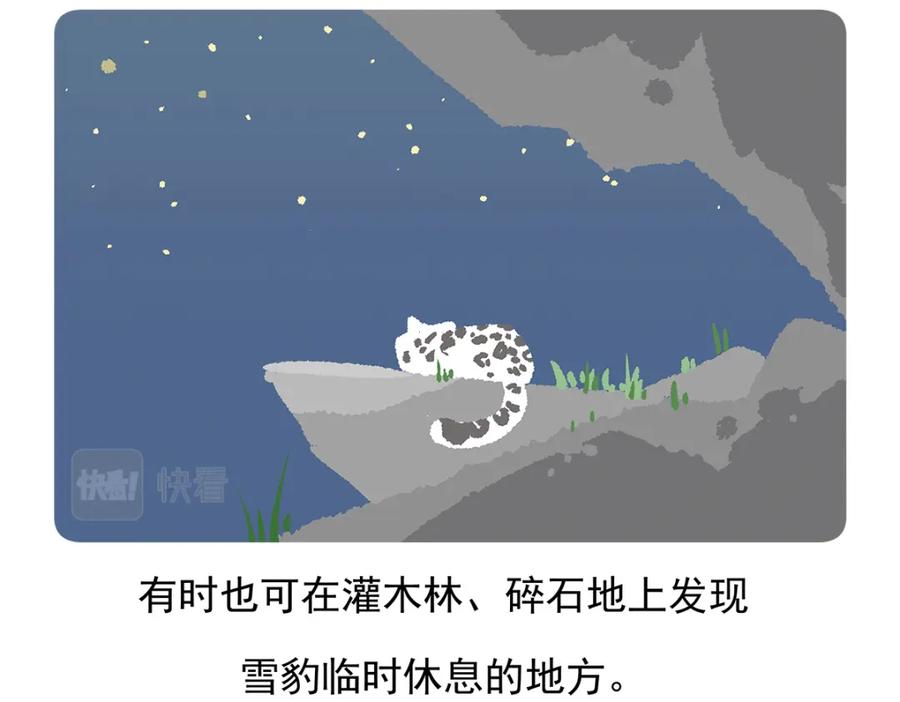 《胖达x胖达》第94话 第32页