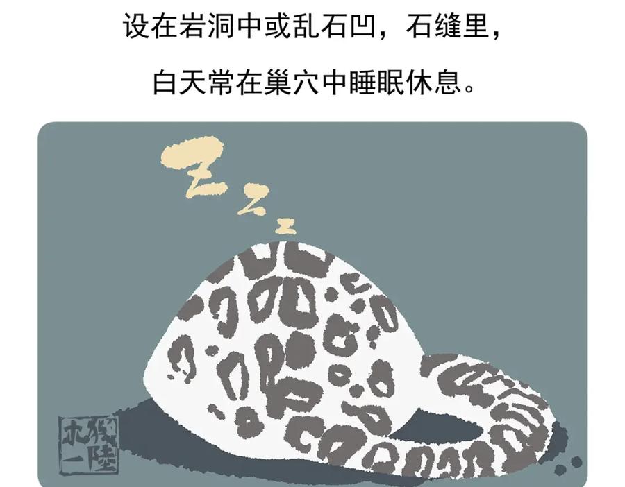 《胖达x胖达》第94话 第30页