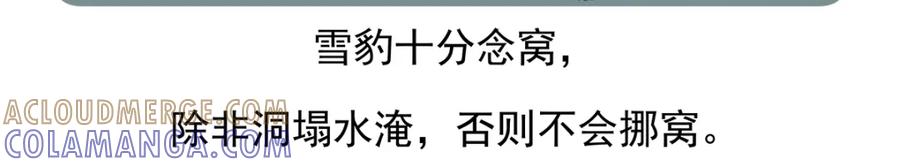 《胖达x胖达》第94话 第31页