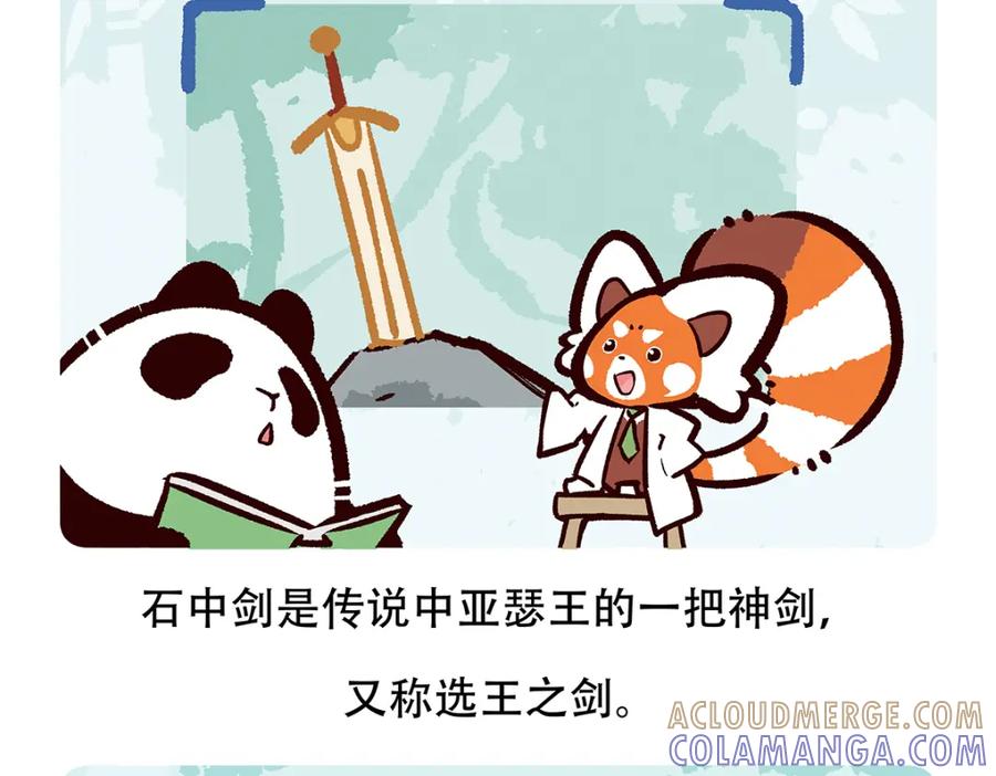 《胖达x胖达》第81话 第29页