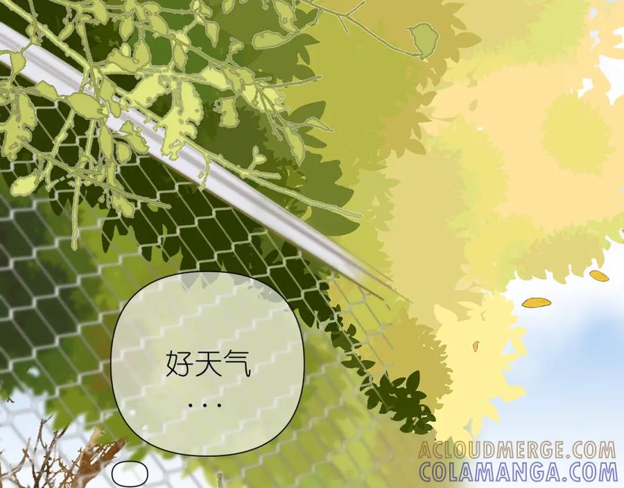 有雾 - 第6话 顾巴拉，你很有名 - 第13张图