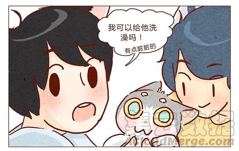 喂，看见耳朵啦 - 100话 不怕水的喵了不起 - 第5张图