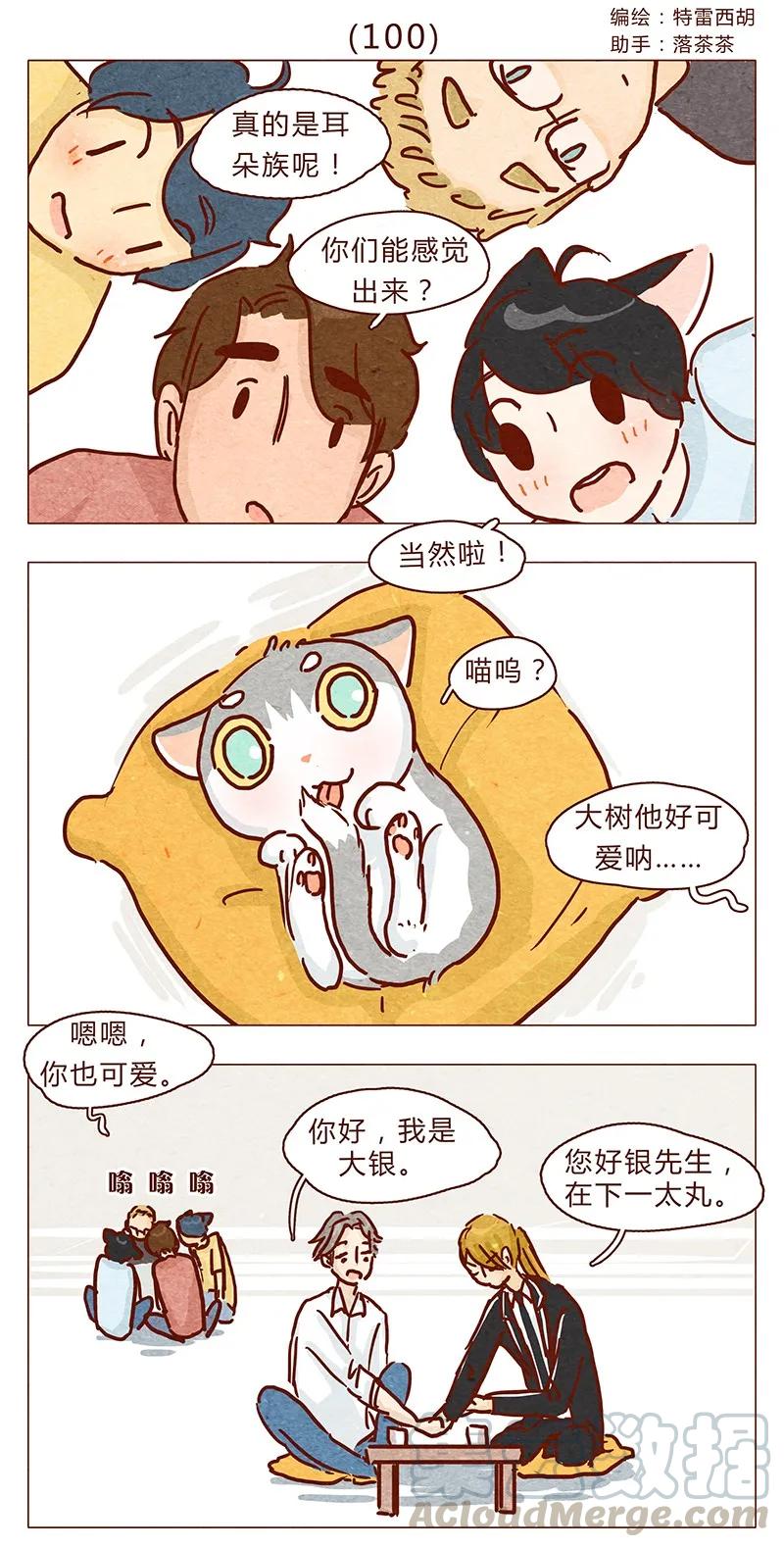 喂，看见耳朵啦 - 100话 不怕水的喵了不起 - 第1张图