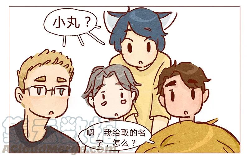 喂，看见耳朵啦 - 100话 不怕水的喵了不起 - 第9张图