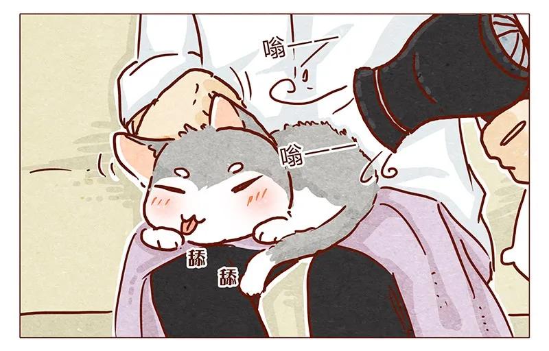 喂，看见耳朵啦 - 101话 你这只颜狗 - 第12张图