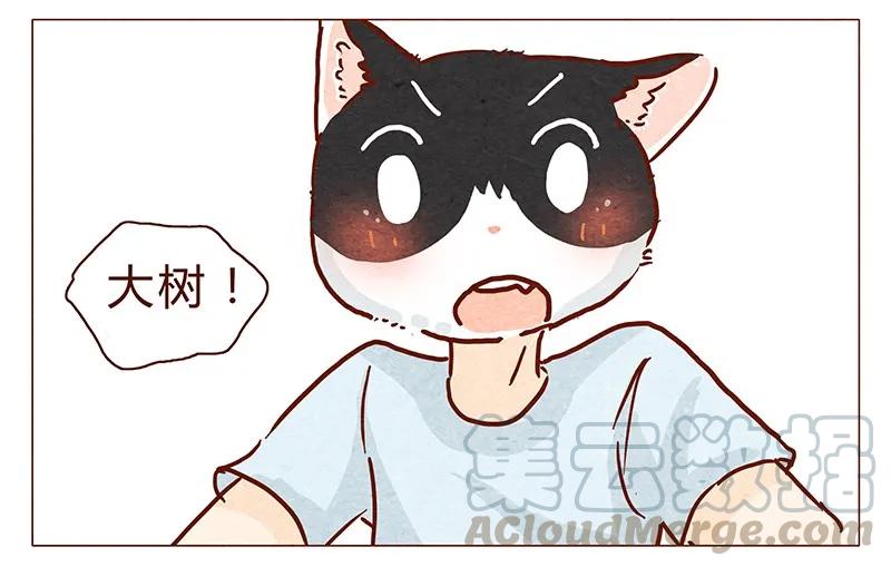 喂，看见耳朵啦 - 101话 你这只颜狗 - 第17张图