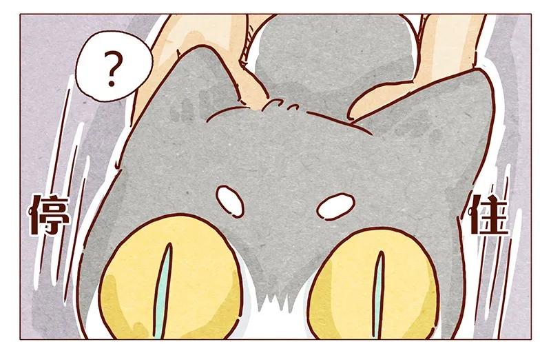 喂，看见耳朵啦 - 105话 适合忍者的工作 - 第6张图