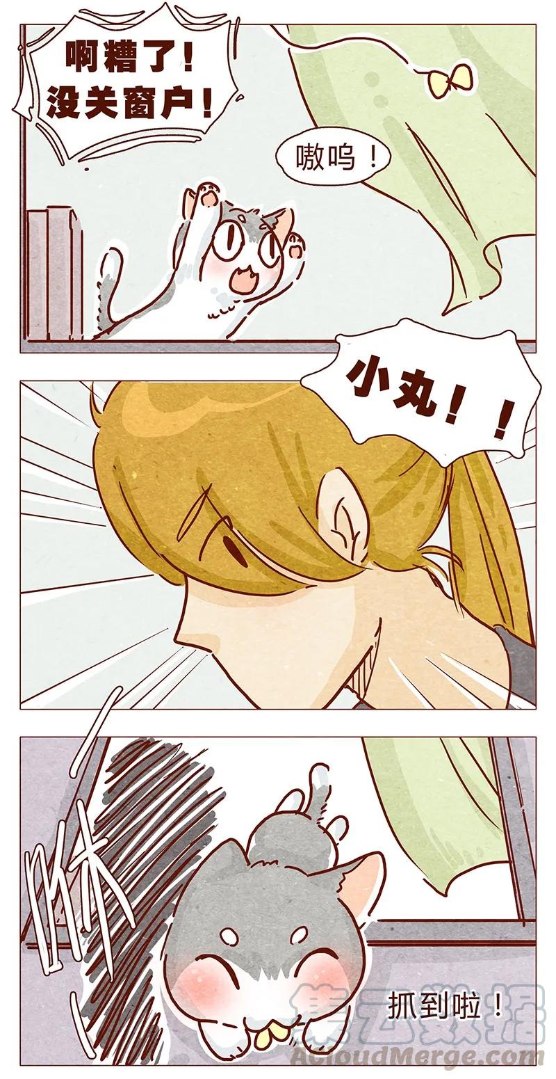 喂，看见耳朵啦 - 105话 适合忍者的工作 - 第5张图