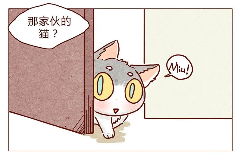 喂，看见耳朵啦 - 116话 区区人类竟敢威胁喵！！ - 第2张图