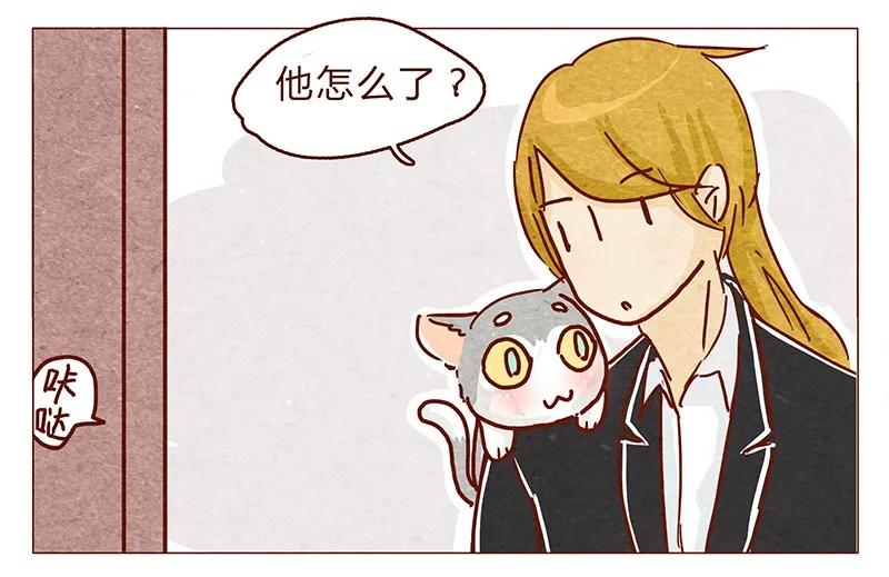 喂，看见耳朵啦 - 116话 区区人类竟敢威胁喵！！ - 第12张图