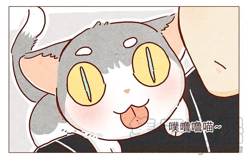 喂，看见耳朵啦 - 116话 区区人类竟敢威胁喵！！ - 第13张图