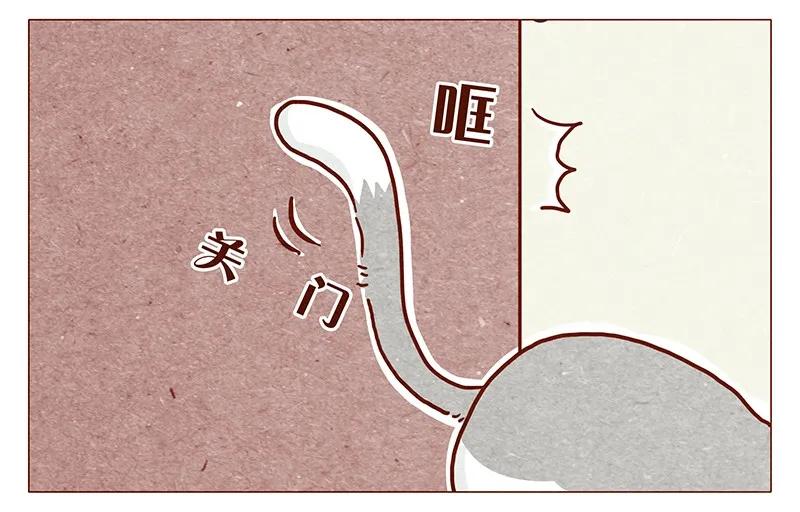 喂，看见耳朵啦 - 116话 区区人类竟敢威胁喵！！ - 第6张图