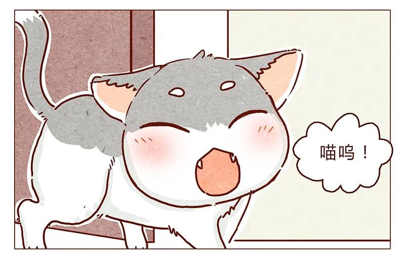 喂，看见耳朵啦 - 116话 区区人类竟敢威胁喵！！ - 第4张图